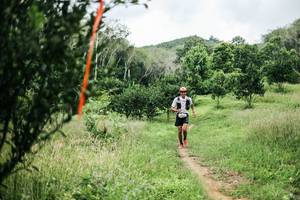 BIB: 
                            <button type="button" onclick="openModal(26446734)" class="btn btn-primary btn-sm float-right btn-popup" data-toggle="modal" data-target=".modal-high-quality">
                        <i class="fas fa-shopping-cart"></i> Add to Cart
                    </button>
                                            <button type="button" onclick="isThisMe(26446734, true)" class="btn btn-success btn-sm float-right btn-popup btn-isme hidden" data-toggle="tooltip" data-placement="bottom" title="นี่คือรูปของคุณใช่ไหม คลิกที่นี่เพื่อเอาเข้าอัลบั้ม">
                        <i class="fas fa-plus"></i> Add to album
                    </button>
                    <button type="button" onclick="isThisMe(26446734, false)" class="btn btn-warning btn-sm float-right btn-popup btn-isnotme hidden">
                        <i class="fas fa-ban"></i> Remove from album
                    </button>